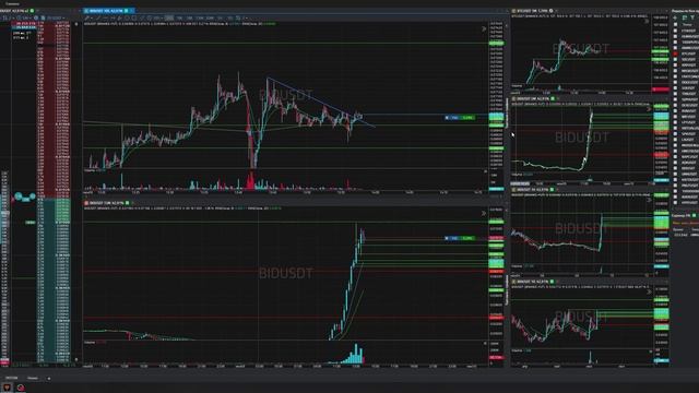 11-Bidusdt-Long-Profit-09-06-2025-13-57-06
