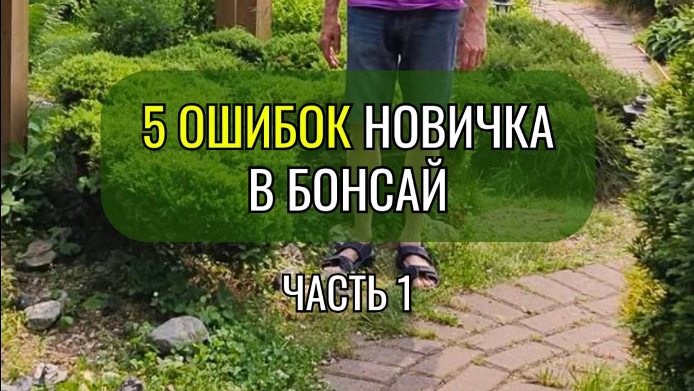 5 ошибок новичка в #бонсай . Часть 1