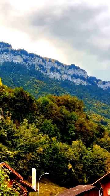 Камера не врёт