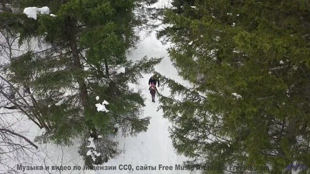 Камера летит над полями, музыка бьёт по сердцу - 2K22 -- SUPERARE -- IX