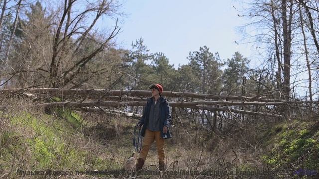 Звуки окутывают сильнее любого пледа на закате - uRLauB -- Phillip Gross -- HoLiDaYS