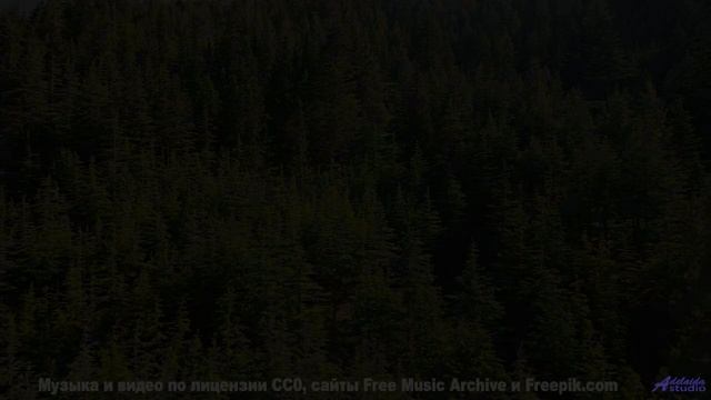 Кто оставил эту мелодию в глуши - Clocks (Instrumental) -- Forget the Whale -- You. Me. Talk. Now.