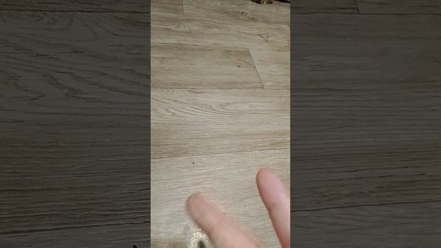 нашли клеща.