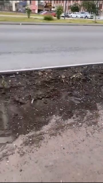 ВИДЕО, ВЫЗЫВАЮЩЕЕ ВОПРОСЫ, РАСПРОСТРАНЯЕТСЯ В ИНТЕРНЕТЕ