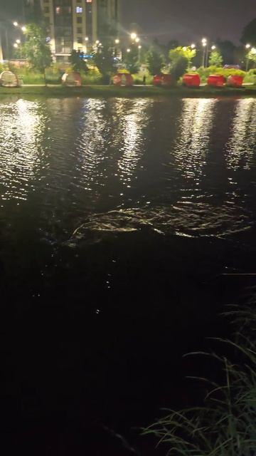 1000083787.mp4