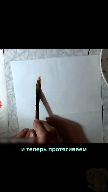 Рисуем тюльпаны 🌷 | Часть 1