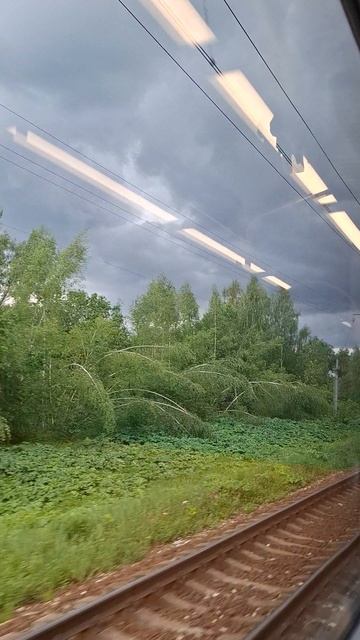 Красивое Небо за окном электрички🥰