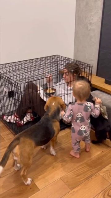 VID_20250614_142908_776.mp4