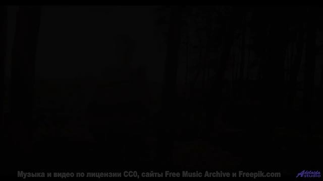 Самое романтичное сочетание звуков и образов в истории! - last call home -- Westy Reflector -- ciphe