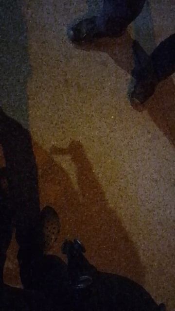 VID_20250602_012549