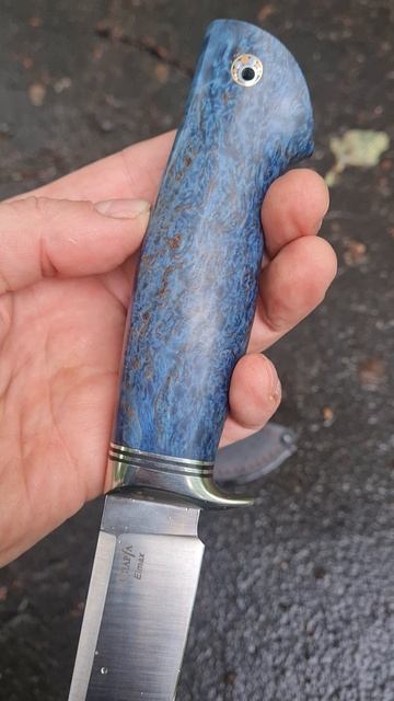 Русич из Elmax