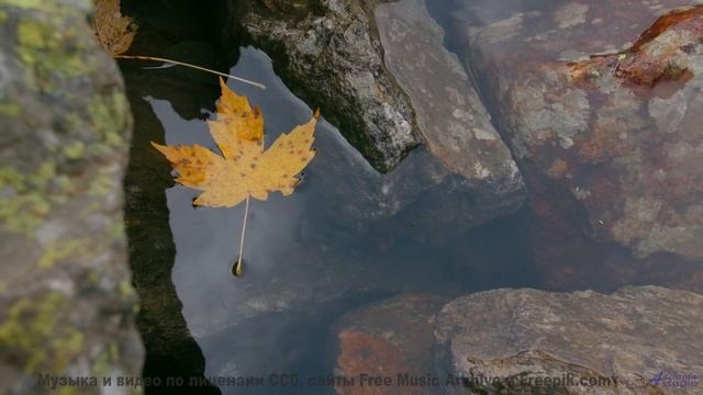 Утро начинается с этой мелодии! - Chapter 6 -- A Tape Full of Mistakes -- Dusts