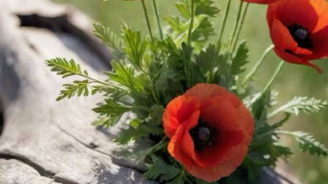 Позитивная открытка для настроения 🌼