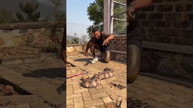 VID-20250613-WA0773