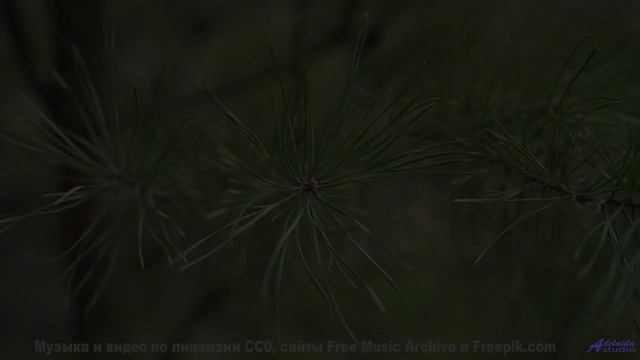 Эта музыка заставит уйти в лес и не вернуться - Angelita (Instrumental) ft. Ryan Herr -- The Polish