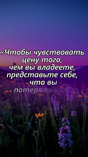 ✨ Понимание ценности жизни через потери ✨