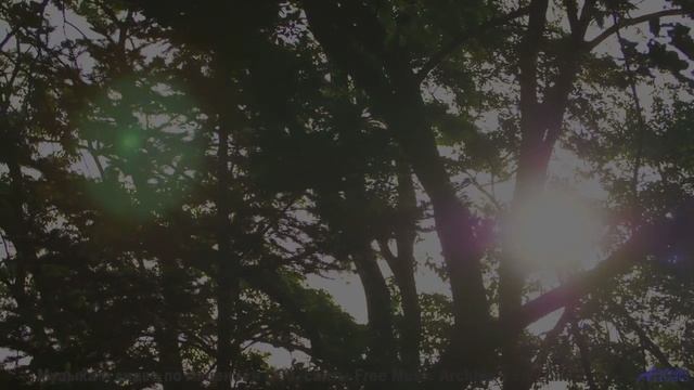 Это видео - как погружение в океан спокойствия! - When You See Me Now -- HoliznaRAPS -- When You See