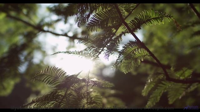 Мелодия, которую слышно только в полночь. - Song for Riemann -- Expendable Friend -- The Tidy Ship