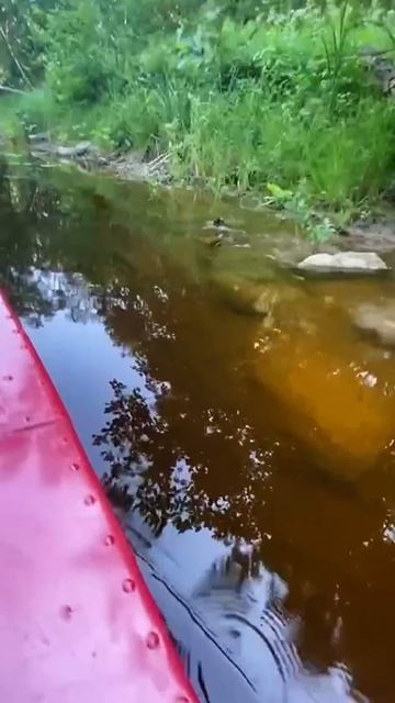 ПРОГРЕСС 2 С НАШЕЙ КОНВЕРТАЦИЕЙ #shorts #катер #водомет #рысьм