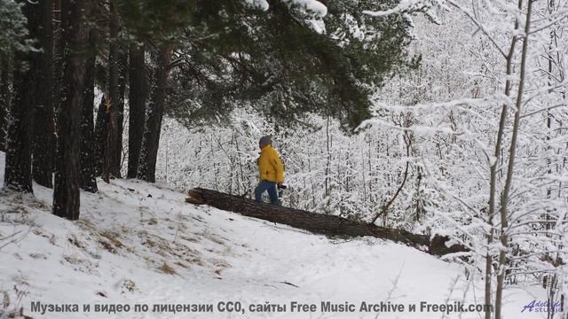 Эти пейзажи заряжают, а музыка - взрывает! - Street Light -- Quint Baker -- Psychic Catz Enochian Gi