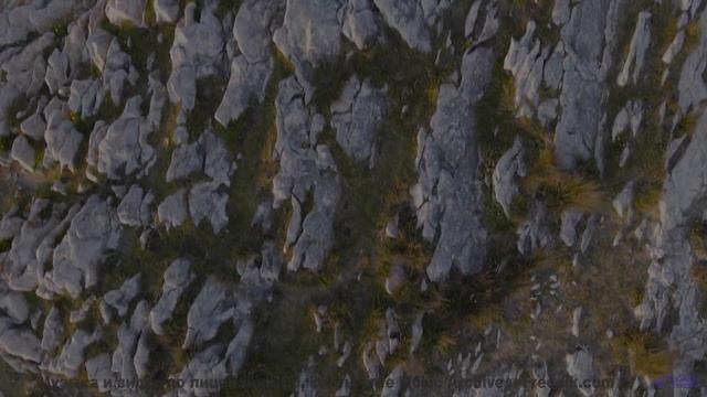 Видео, которое нельзя смотреть без нейроимплантов - или можно - WitchCraft -- HoliznaCC0 -- Orphaned