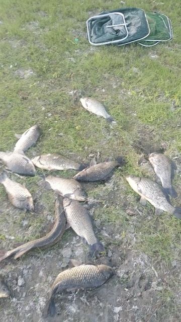 Рыбалка в Астраханской области, вблизи села Селитренного Харабалинского района.Апрель 2025