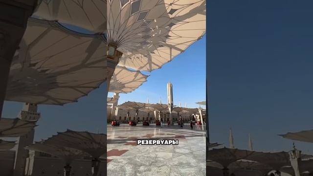 Вот так прячутся от жары 😱
