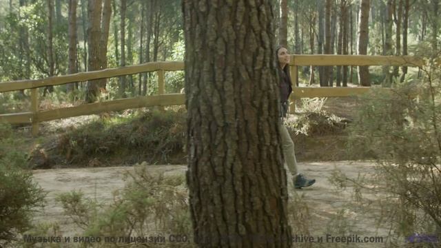 Глаза цепляются за кадры, уши ловят каждый аккорд - Useless Dreams -- Ketsa -- Metaphysics