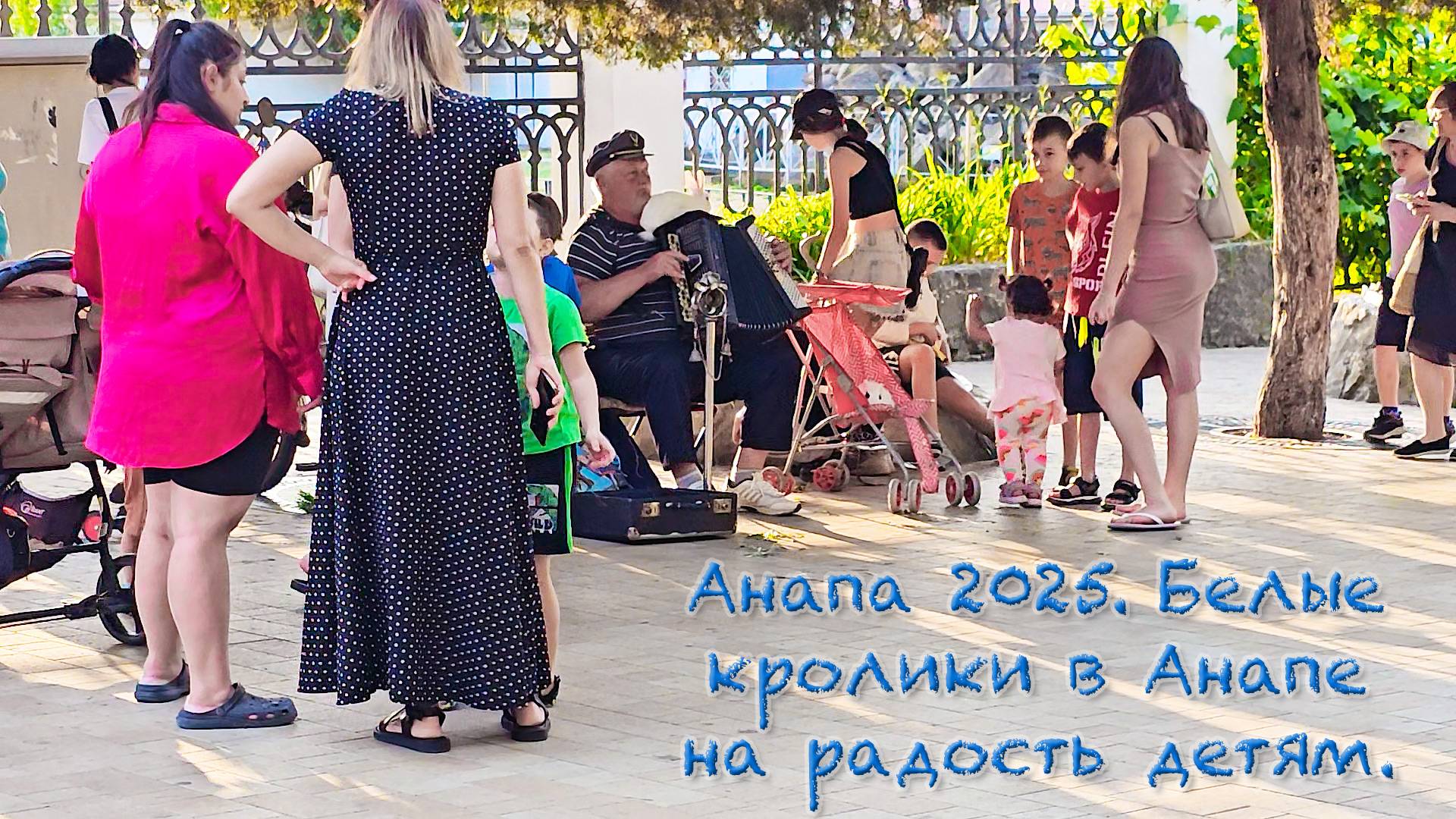 #Анапа 2025. Вечерняя прогулка по Анапе в начале июня. Развлечения для детей в Анапе. Белые кролики.