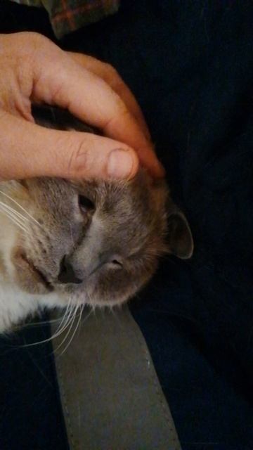 VID_20250310_184034.mp4