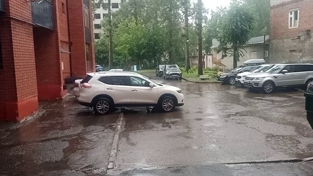 Дождь — это тысячи историй, смешанных с каплями… Какая из них — ваша?