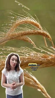 Прочность в природе