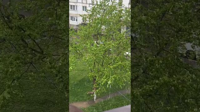 Летний дождь ☔️