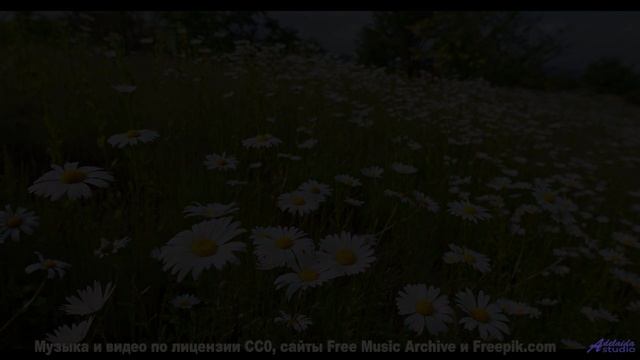 Пейзажи танцуют вместе с этим ритмом - Old Faces -- Ketsa -- Night Vision