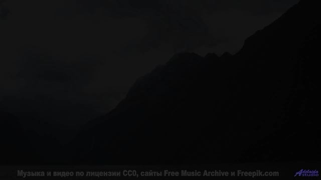 Природа оживает под эту сенсацию звука - Not My Kinda Movie -- NADINE -- Live at WFMU for Sophistica
