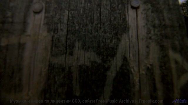 Кадры, снятые наномикроскопом - увидите невидимое! - Ashes -- Jahzzar -- Unnamed album