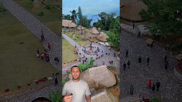 Зачем поливают дома 🫣