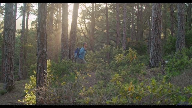 Саунд создаёт ощущение полёта без границ - Adventure -- Chad Crouch -- Motion