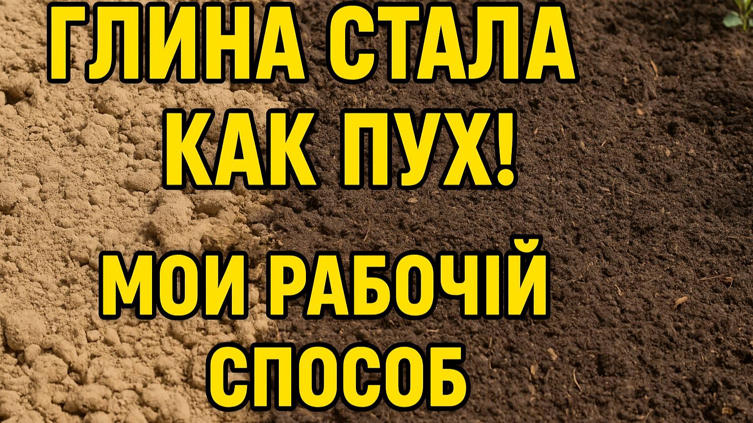 Глина стала как пух! Рассказываю, как разрыхлить тяжёлую землю