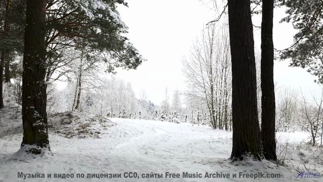 Эта музыка звучит особенно, когда её слушаешь, глядя в одни глаза - Звёздный комбайнёр (feat. Алекса