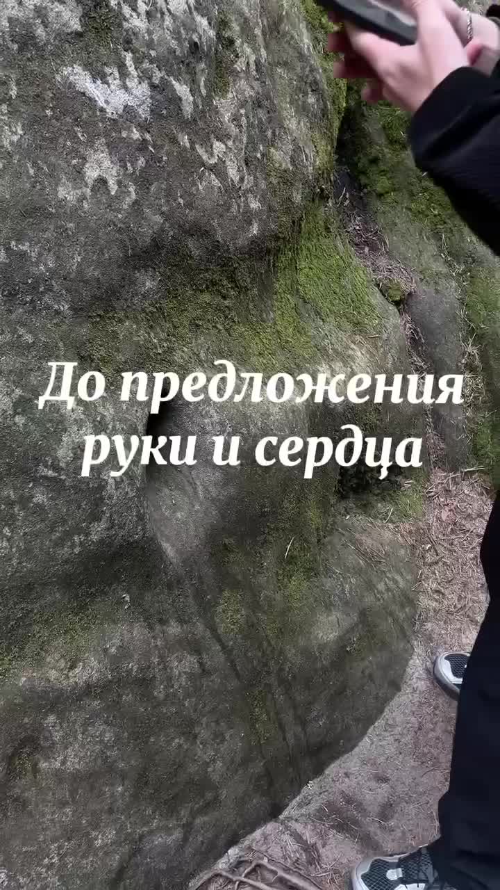 Ахахах, прям жиза))))