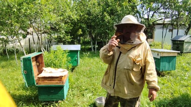 Что делать с ульем после выхода роя