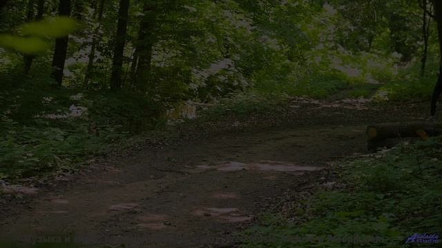 Эта дорога ведёт к месту, где начинается ваша история! - Jamaica Jive -- Mr.ruiZ -- Winter Haze, Sum