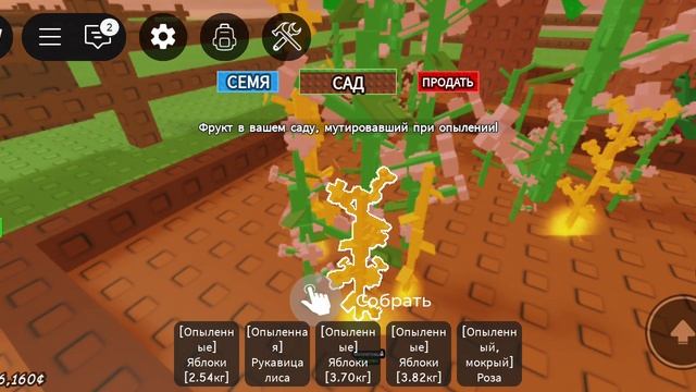 обнова вырасти сад🥳