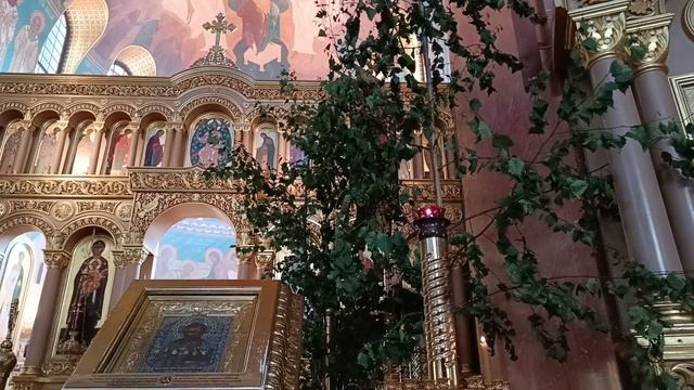 VID_20250614_095814