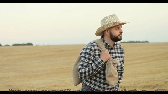 Скорость, адреналин и звуки, от которых сжимаются кулаки! - Examples -- Ketsa -- The New World