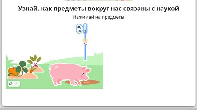10 Общество