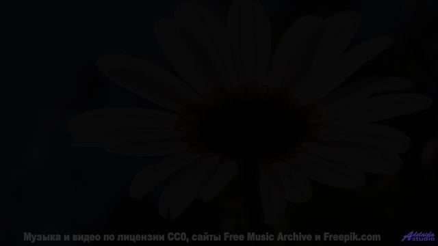 Это не просто клип - это эмоции, которые делают жизнь ярче! - growing -- Independent Music Licensing