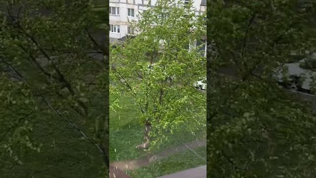 ASMR звук дождя ☔️