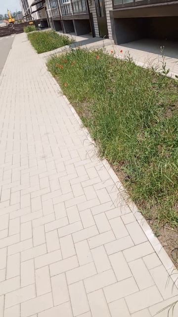 Утро